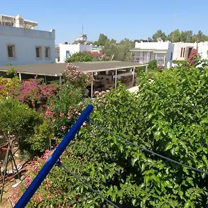  Aparthotel Dream Turchia